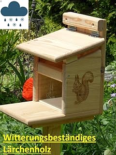 Eichhornchen Haus Ei Haus Xxxl Eichhornchenhaus Futterautomat