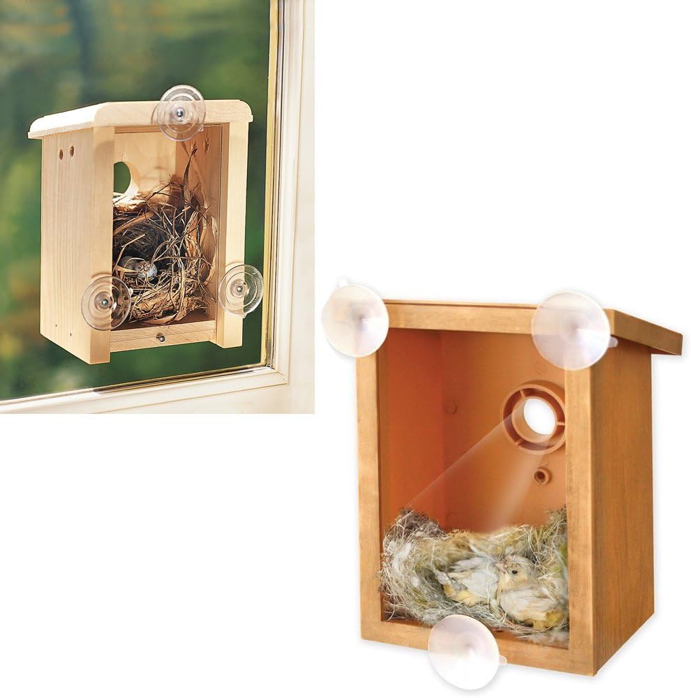 Jazooli Window Mounted I Spy Bird House Box Watch Nature Nesting with