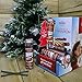 Scentsicles, Cinnamon Scented Ornament Fragrance Sticks (1 Bottle, 6 Sticks)