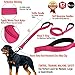 Primal Pet Gear Dog Leash 6ft Long,Traffic Padded Two Handle,Heavy Duty,Reflective Double Handles Lead for Control Safety Training,Leashes for Large Dogs or Medium Dogs,Dual Handles Leads(Pink)