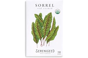 Sereniseed Certified Organic Red Veined Sorrel Seeds – Non GMO, Heirloom – Seed Starting Video – Seeds for Indoor and Outdoor Planting (Rumex sanguineus)