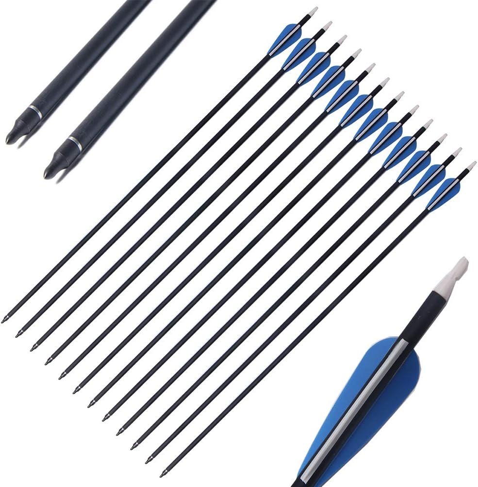 FlyArchery 12PK 30-Inch Archery Target Carbon Arrows Hunting Practice Targeting Arrow Removable Field Point for Recurve Bow Compound
