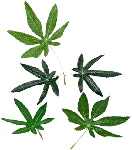 Amazon.com: DecoBudz Realistic Faux Cannabis Decor – Artificial