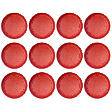 Little Monkey Plastic UV Treated Bottom Tray, 8 inch, 12 Pieces