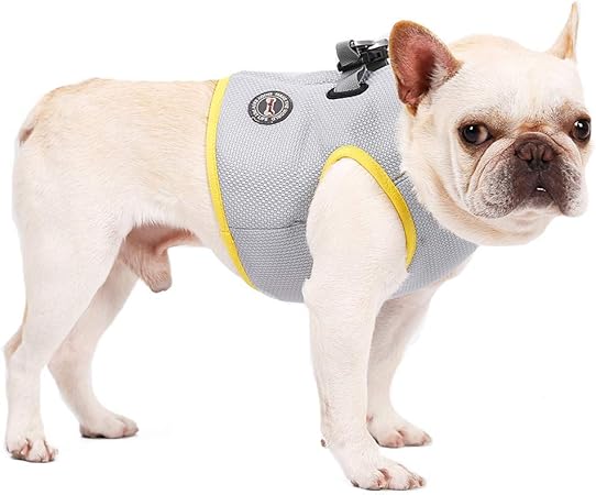 dog cooling jacket amazon