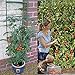 Tomato Cage 5ft 6-Pack Large Tall Tomato Cages Tomato Stakes Plants Supports Garden Stakes,40 Clips and Plant Ties Include, Green