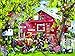 SunsOut Pretty Boys 1000 pc Jigsaw Puzzle -Bird Theme