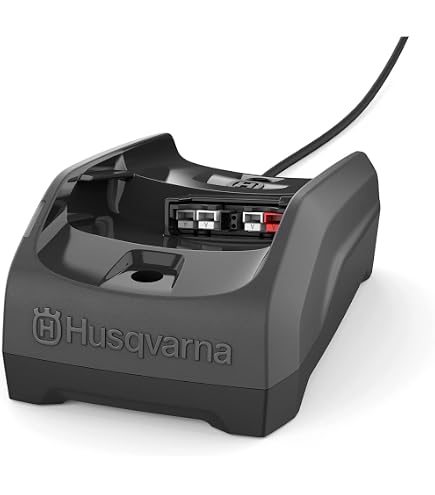 Amazon.com: Husqvarna Cordless Power Tools BLi200 40V Li-Ion