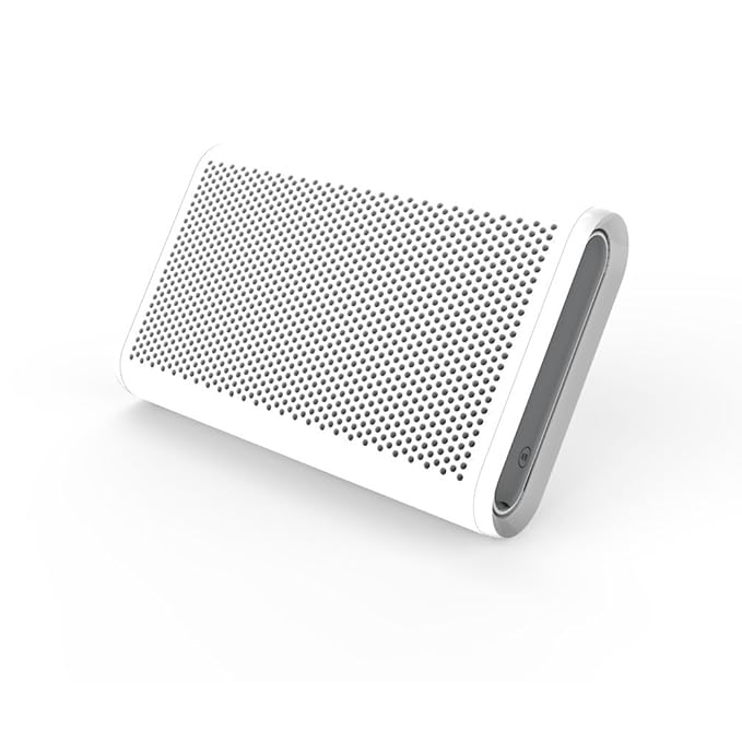 braven bluetooth speaker 405