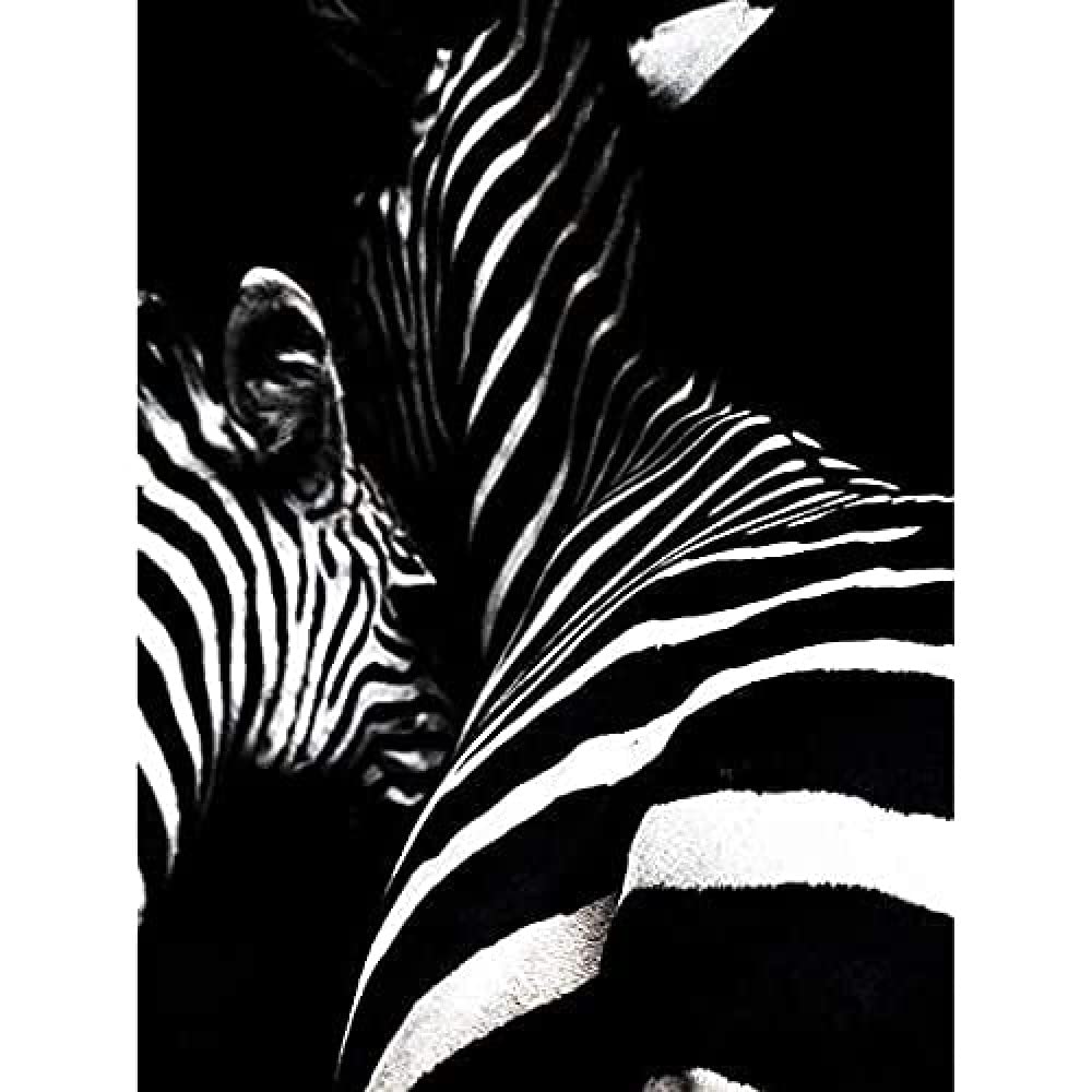 Zebra Black And White Photo Art Print Canvas Premium Wall Decor Poster