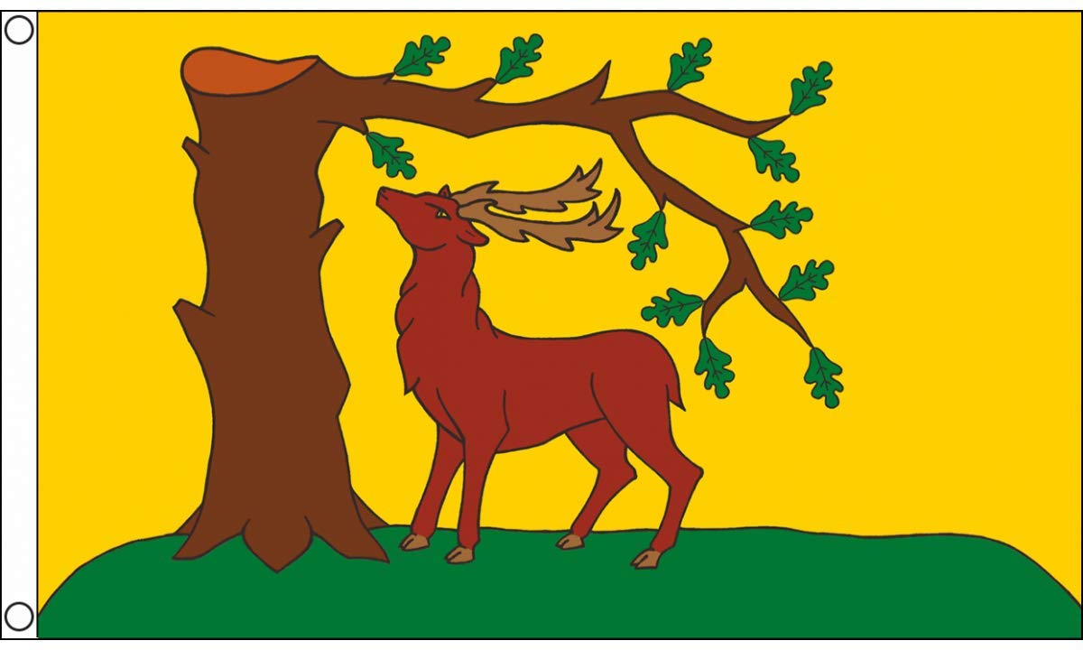 AZ FLAG - Berkshire New Flag - 3x5 Ft - 100D Polyester County Of Berks. - England Banner with Two Metal Grommets - Fade Resistant - Vivid Colors - 3' x 5' Feet - 150x90 Cm