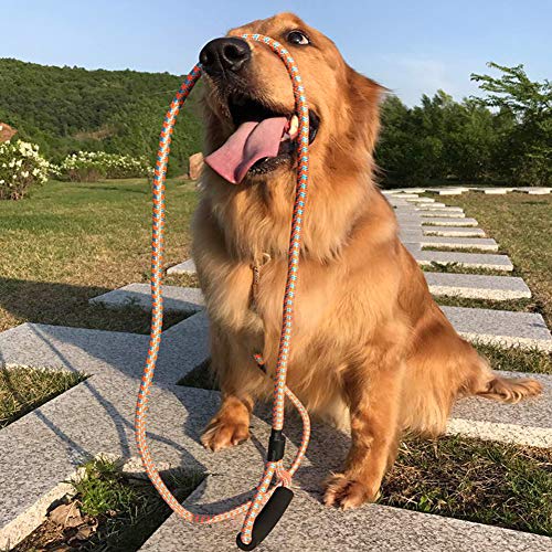 image for Shorven Nylon Strong Dog Rope Lead Leash Training Dog Lead with Soft H