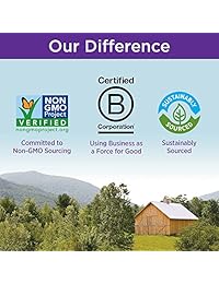 NUEVO capítulo Coq 10 + Alimentos Complejo, NCH06967, 1, 1