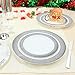 60PCS Heavyweight White with Silver Rim Wedding Party Plastic Plates,Disposable Plastic Plates,30-10.25inch Dinner Plates and 30-7.5inch Salad Plates -WDF (White/Silver Diamond)