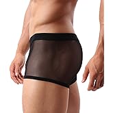Mens Sexy Underwear Breathable Mesh Boxer Briefs See Through Hollow Lingerie