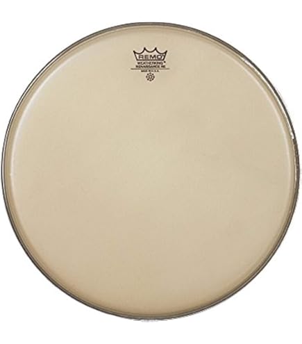 ルネッサンスヘッド Remo Renaissance Hazy Timpani Head with Steel Insert Ring | Steve