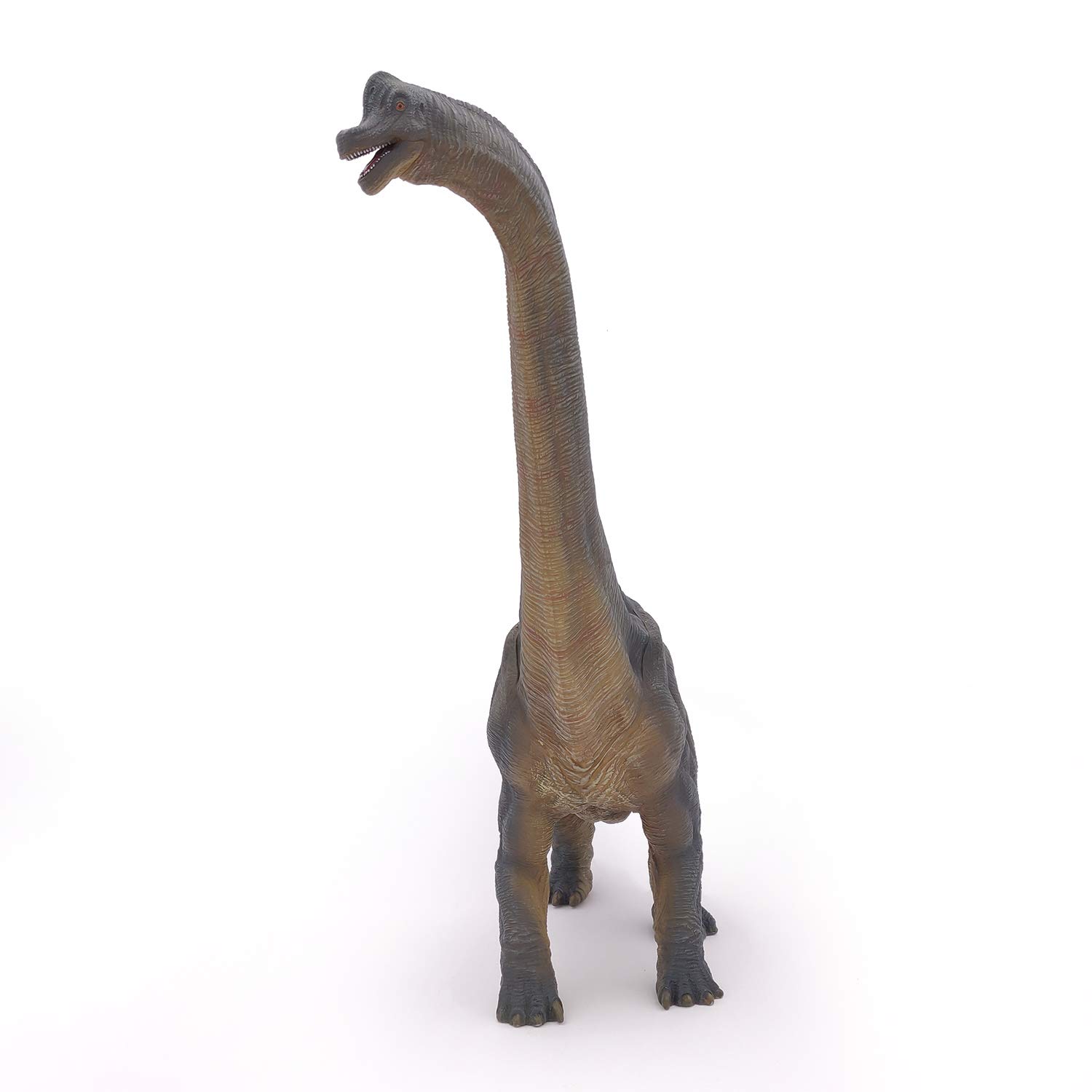 Papo - Realistic Brachiosaurus Figure - Dinosaurs Collection - Hand Painted - 36 X 9 X 31 Cm - Kids Toy - Develops Imagination - Educational Game Gift Idea