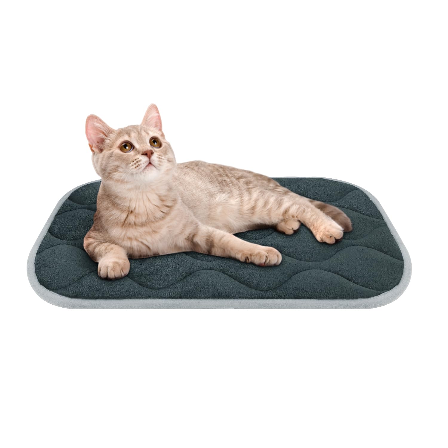 Photo 1 of furrybaby Dog Bed Mat Flat Crate Mat with Anti-Slip Bottom Machine Washable Pet Kennel Pad for Dog Sleeping (XS 22x13'', Grey Mat)