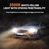 AGPTEK H7 Headlight Bulbs 55W 12V Dual Beam 3000 Lumen Blue Coated Xenon Style view 3