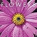 Flowers 2017 Wall Calendar