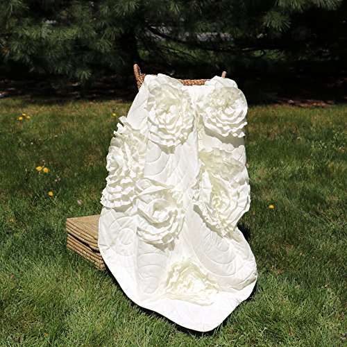 High Quality Lush Decor 16t000202 Serena Throw 60 X 50 Ivory