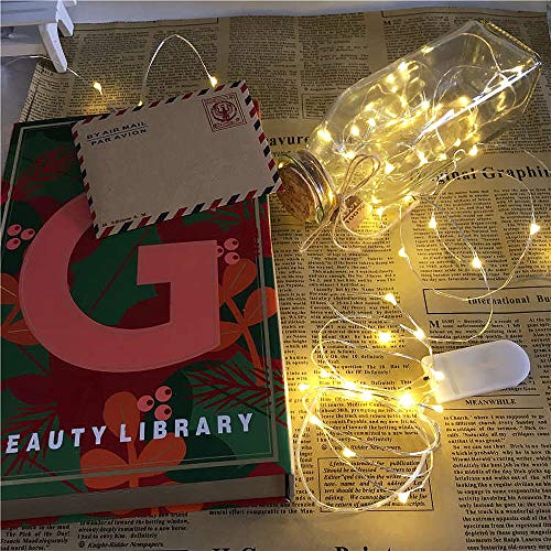LetsFunny LED String Lights 6.6 ft 20 LEDs Waterproof Christmas Light Wedding Party Home Garden Bedroom Outdoor Indoor Wall Decorations Battery Powerd Warm White (20 led)