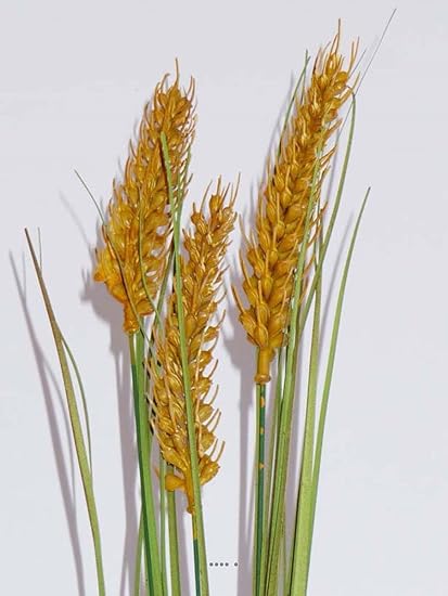 Artificiales Ble 3 Epis Artificial Isolepsis H 77 Cm Superbe Y Rare Amazon Es Hogar