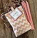 Outside the Box Papers Kraft Brown and White Chevron Treat Sacks 5.5 x 7.5 48 Pack Kraft Brown, White