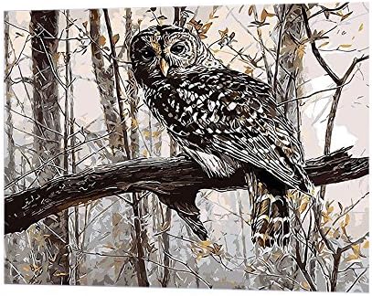 Diy oil painting paint by number Linen canvas Non-toxic environmental pigment living room Bedroom decoration 50x40cm (Forest wise owl)