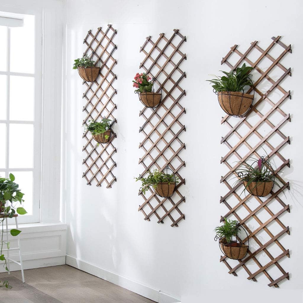 Saffruff Confezione Da 2 Ganci Da Parete Per Fioriere Da 15,2 Cm - Foto 9