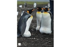 2025 Calendar: Penguins