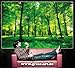 GREAT ART Poster – Summer Trees – Picture Decoration Nature Landscape Forest Glade Sunbeams Plants Flora Ferns Relaxation Sapling Spa Image Photo Decor Wall Mural (55x39.4in - 140x100cm)
