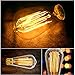 Vintage Edison Light Bulbs (6 Pack), 60W, ST64, E26, Squirrel Cage, Dimmable, Clear Glass, Industrial Vintage Incandescent Bulbs