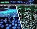 KLEMOO Glow in the Dark Pebbles 200 PCS, Artificial Decorative Stones Rocks for Walkways and Aquarium in Blue, Create Glowing “Starry Night” Garden