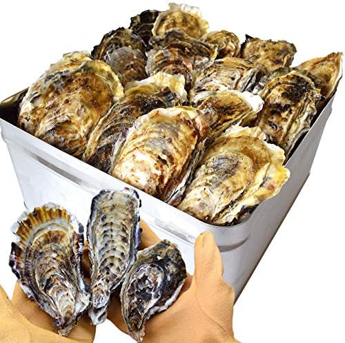 牡蠣 カンカン焼き セット ２ｋｇ ２５ ３０個前後入 冷凍牡蠣 桃こまち 鳥羽産 ミニ缶入 牡蠣ナイフ 片手用軍手付き 殻付き牡蠣 一斗缶 海鮮 バーベキューセット プレゼント ギフト 旬凍桃こまち