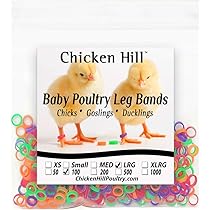 480-Piece Small Colored Zip Ties For Chickens – Poultry Leg Bands For Identification (6 Colors, 4in Long, With Cutter)