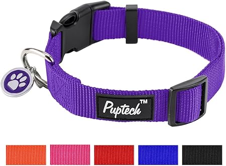 Amazon Com Pupteck Nylon Puppy Adjustable Collars For Small Dogs With Id Tag Xs 7 5 10 2 Pet Supplies