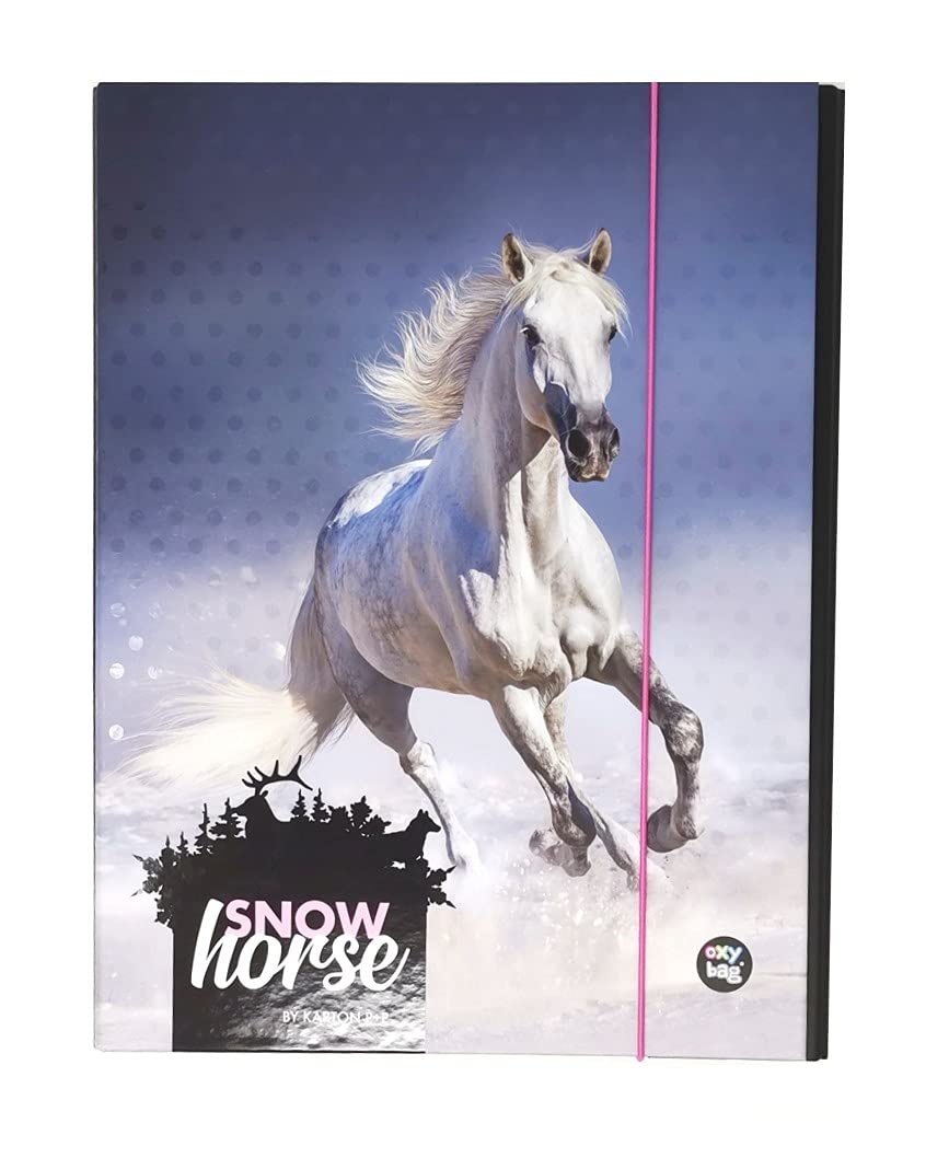 Theonoi Cute Horse Motif Laminated Collector's Box/Notebook Box/Drawing Box/Document Organiser with Elastic Band for Children – DIN A4 (Horse W)
