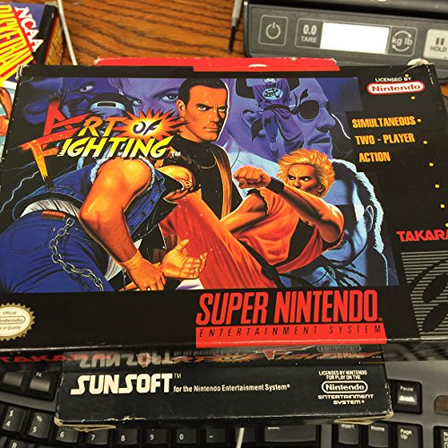 Art of Fighting