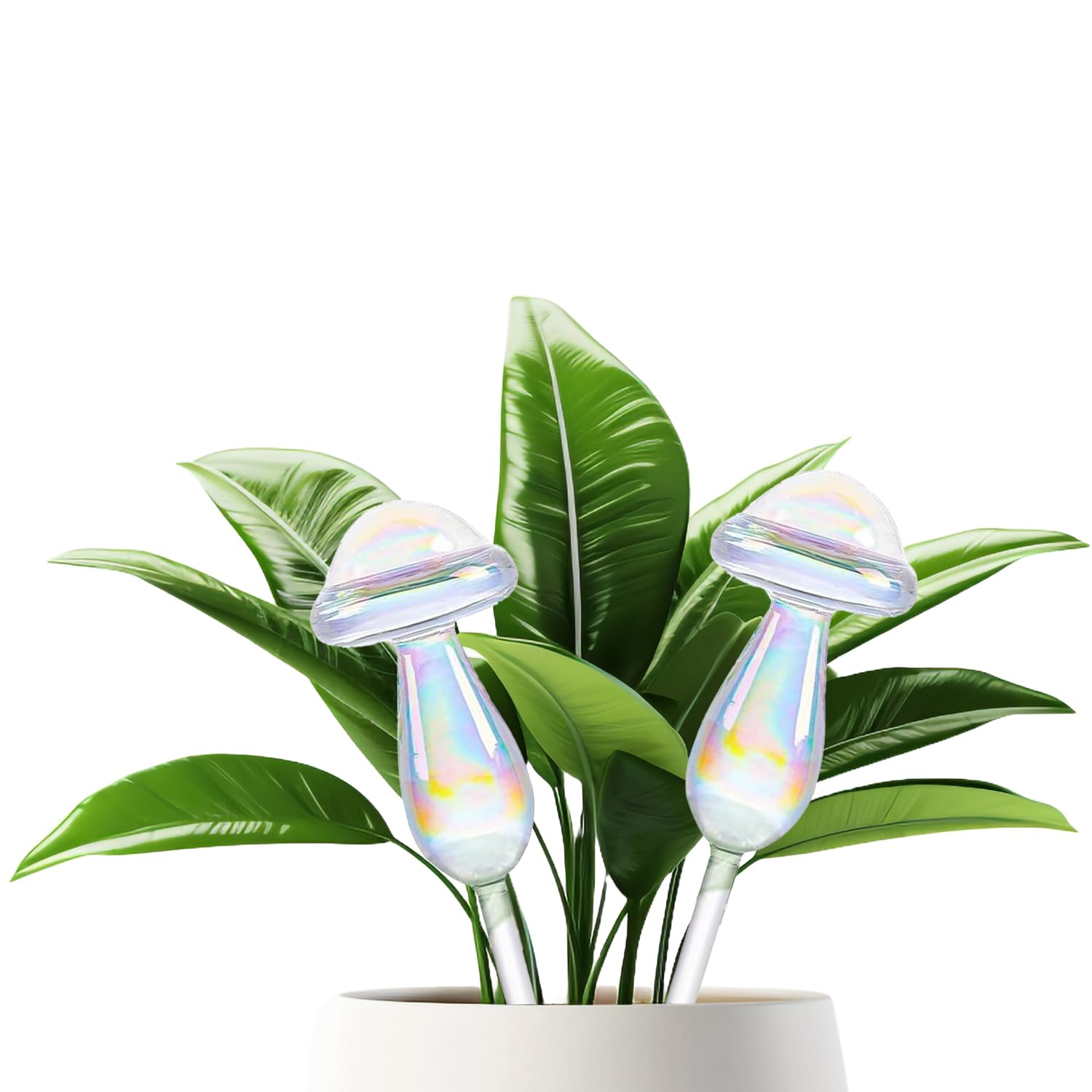 Esshogo 2pcs Plant Watering Balls, Iridescent Rainbow Gradient, Clear Mushroom, Reflective Design Glass Watering Bulbs for Indoor Plants, Garden and Balcony Plant Insert