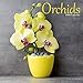 Garden Calendar - Flower Calendar - Orchids Calendar - Calendars 2018 - 2019 Wall Calendars - Orchid by