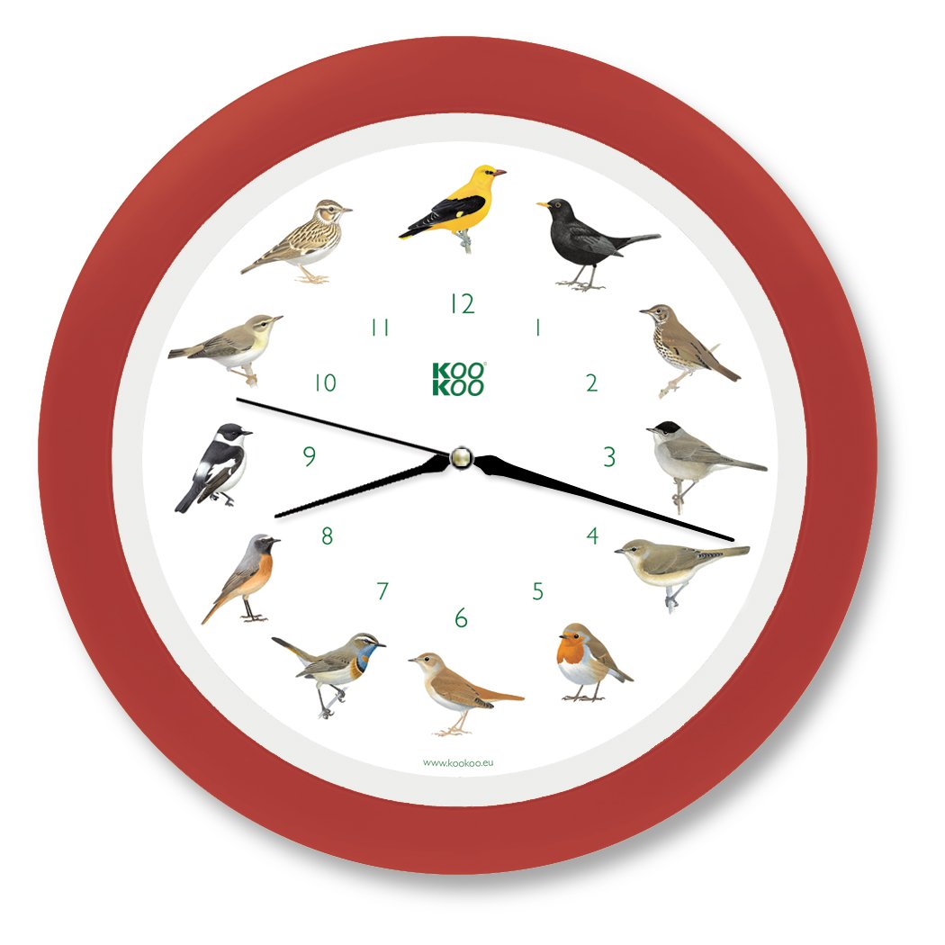 KOOKOO Singvogel strawberry-red, singing birdclock includes 12 genuine original field recordings from native songbirds — image 1