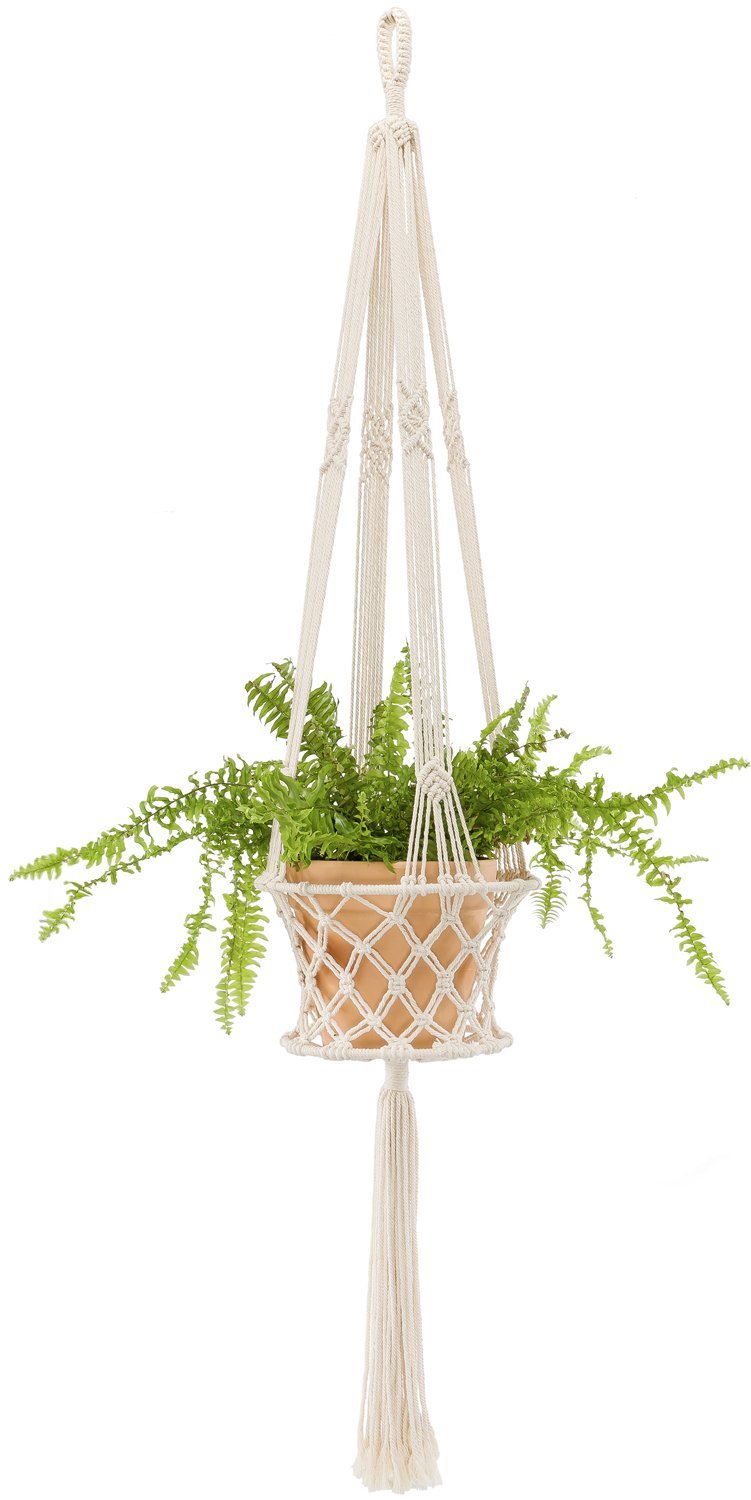 Best Indoor Blooming Plant Ladder