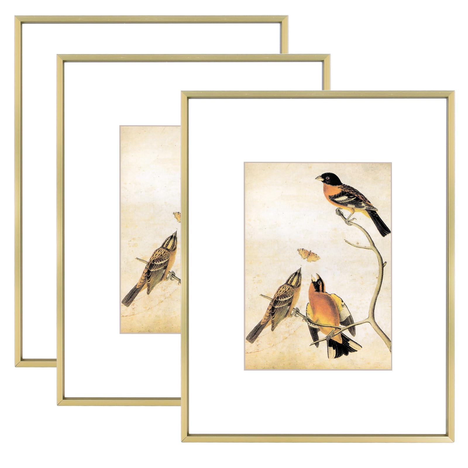 Photo 1 of **1 FRAME HAS SHATTERED GLASS** BKABOT 8.5x11 Picture Frame Set of 3, Brass Metal Photo Frames with HD Glass, Fits 5x7 with Mat or 8.5x11 without Mat, Wall Hanging and Table Display