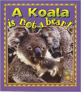 A Koala Is Not A Bear Crabapples Sotzek Hannelore Kalman