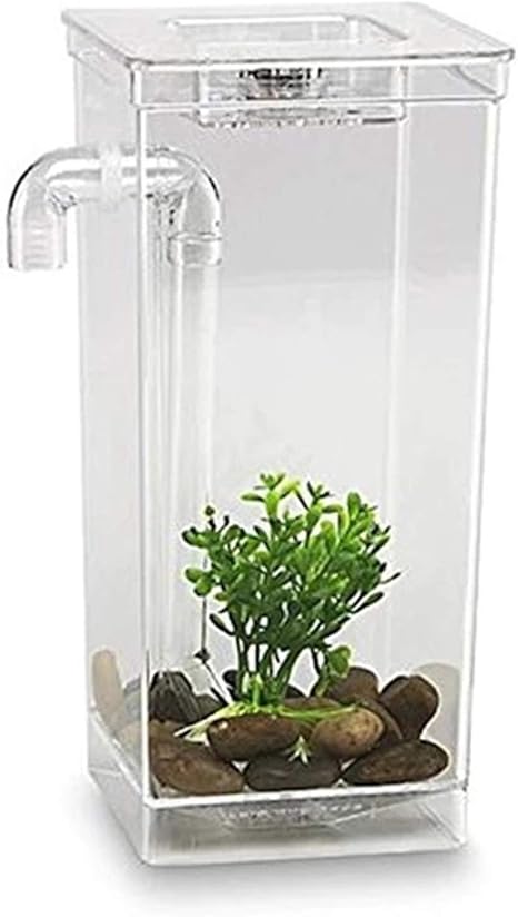 Amazon Co Jp 水槽 Ledミニフィッシュタンク水族館自己洗浄魚タンクボウル便利なデスク水族館オフィスの家の装飾ペットアクセサリー 面白い装飾 色 Clear Size 25 5 12 5 10 5cm ホーム キッチン