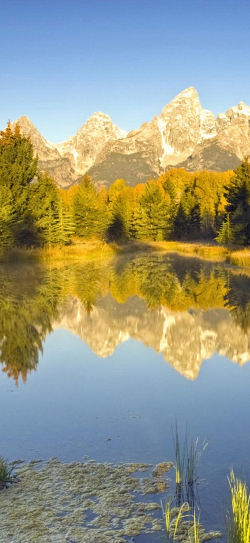 PeelitStickit, Beautiful Nature Wall Murals, ID-0951, vinyl