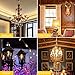KINGSO 10 Pack E12 Vintage Edison Light Bulbs 40W 110V Antique Dimmable Nostalgic Tungsten Filament Candelabra Base Incandescent Lamp Squirrel Cage Style Bulbs ST48 for Home Light Fixtures