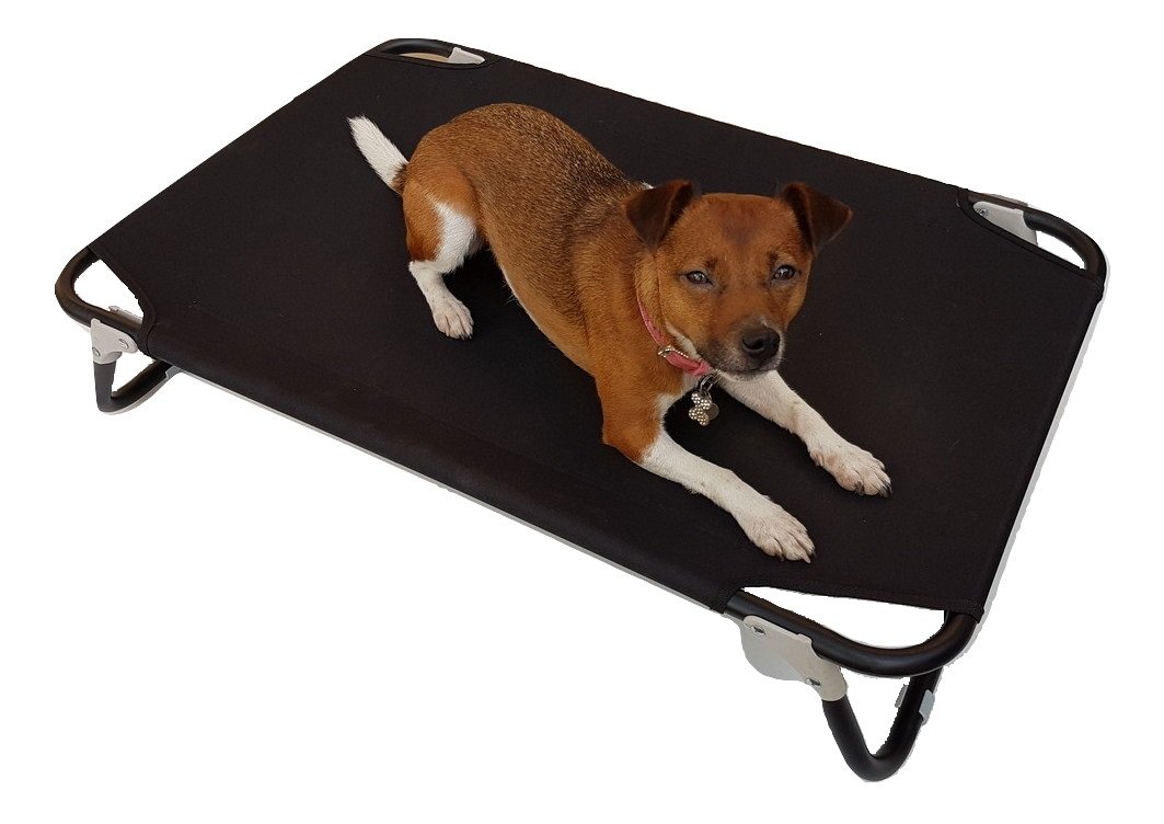 folding raised dog bed