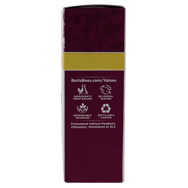 BURT’S BEES RENEWAL INTENSIVE FIRMING SERUM WITH BAKUCHIOL NATURAL RETINOL ALTERNATIVE – 1 OUNCE (PACKAGING MAY VARY)